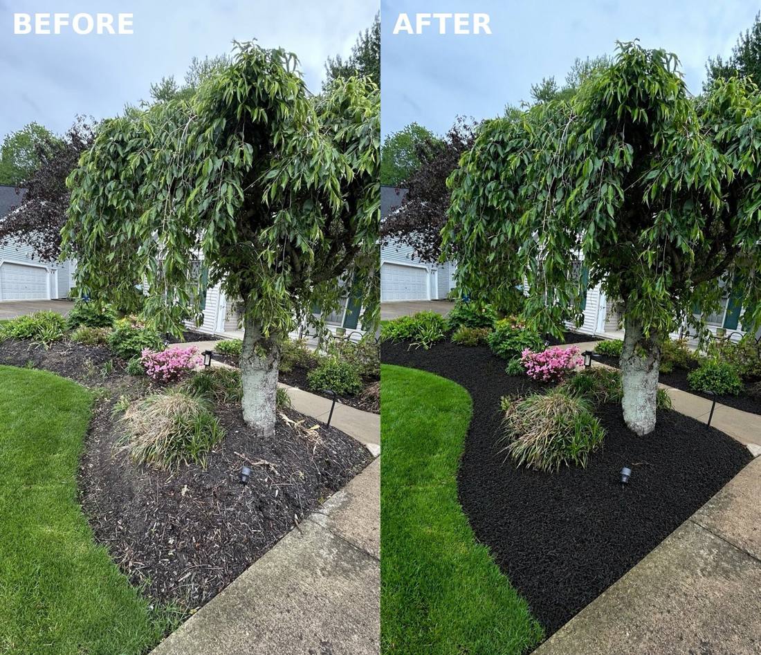 BTI Clean mulch and flower bed, before and after